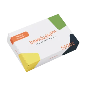 Multidrug Resistance 1 (MDR1)