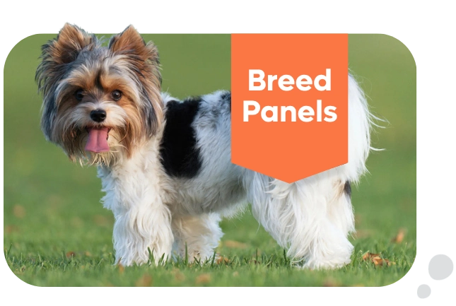 Breedwise DNA Breed Panel Tests